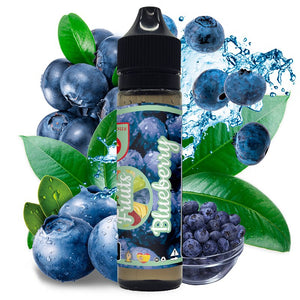 Fruits - Blueberry 50ml Shortfill